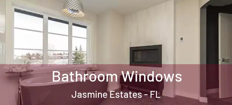  Bathroom Windows Jasmine Estates - FL