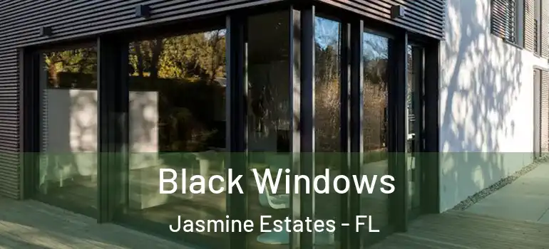  Black Windows Jasmine Estates - FL