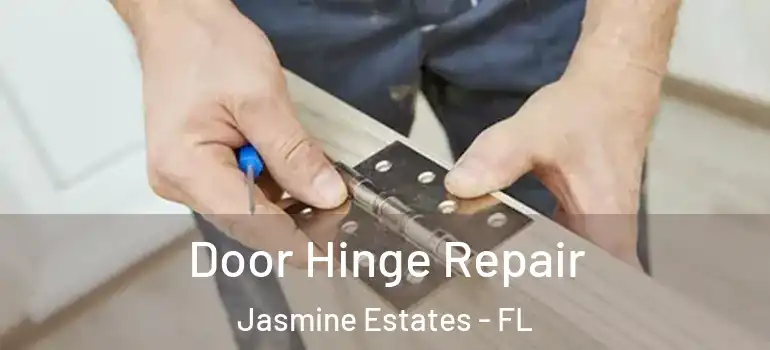  Door Hinge Repair Jasmine Estates - FL