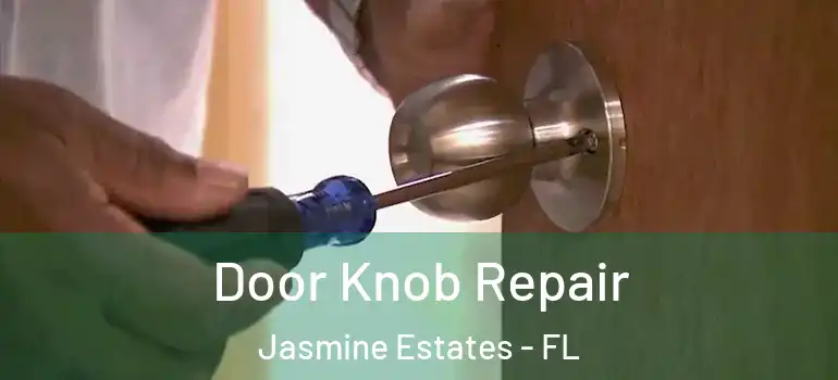  Door Knob Repair Jasmine Estates - FL