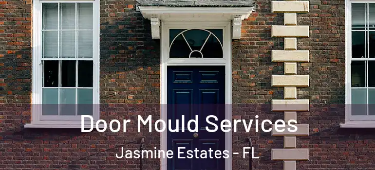  Door Mould Services Jasmine Estates - FL