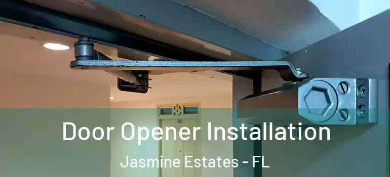  Door Opener Installation Jasmine Estates - FL