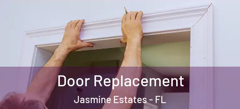  Door Replacement Jasmine Estates - FL