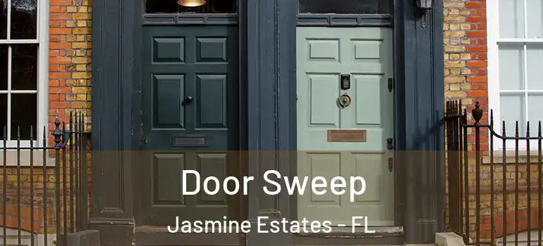  Door Sweep Jasmine Estates - FL