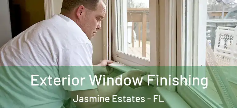  Exterior Window Finishing Jasmine Estates - FL