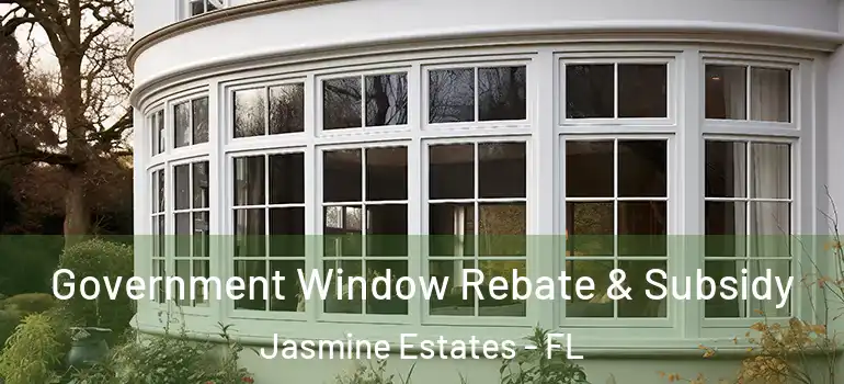  Government Window Rebate & Subsidy Jasmine Estates - FL