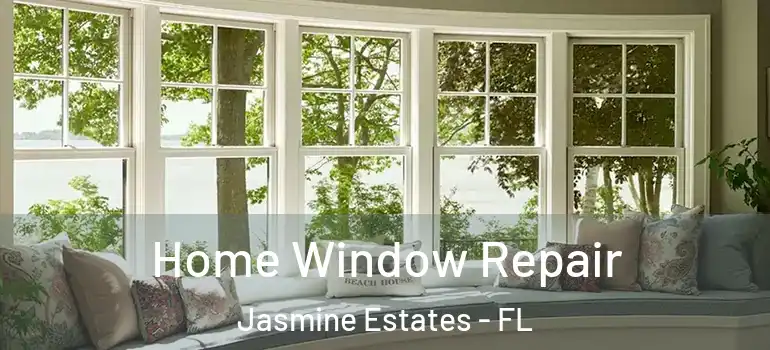  Home Window Repair Jasmine Estates - FL