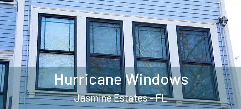  Hurricane Windows Jasmine Estates - FL
