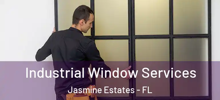  Industrial Window Services Jasmine Estates - FL