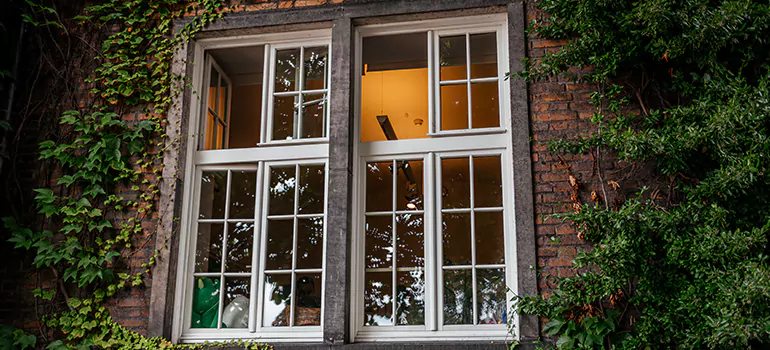 Energy Efficient Wood Windows in Jasmine Estates, FL