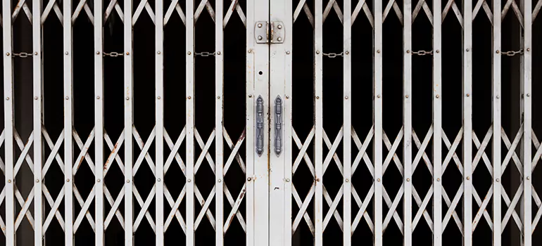 Steel Line Garage Door Repairs in Jasmine Estates, FL