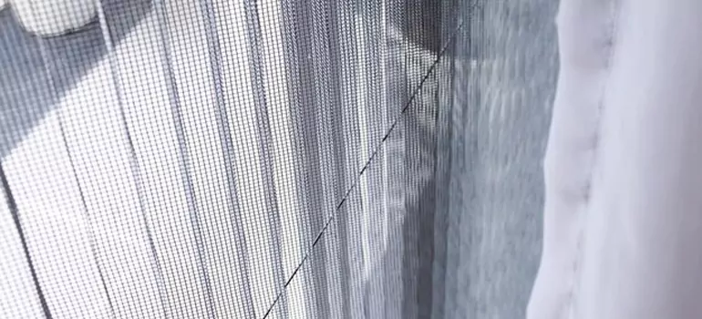 Fixing Screen Window Mesh in Jasmine Estates, FL