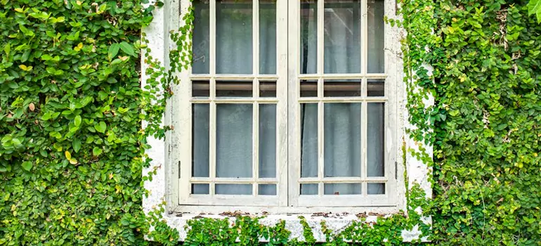 Garden Window Repair Near Me in Jasmine Estates, FL