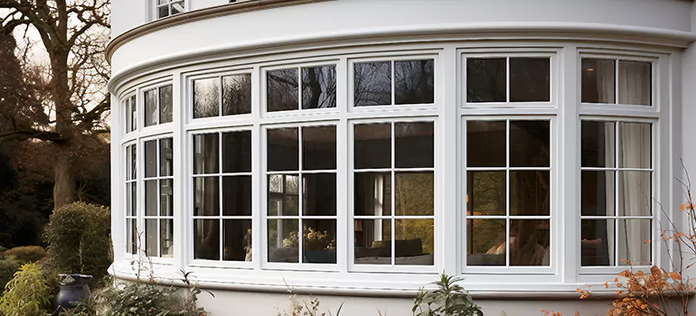 Home Window Pane Replacement in Jasmine Estates, FL