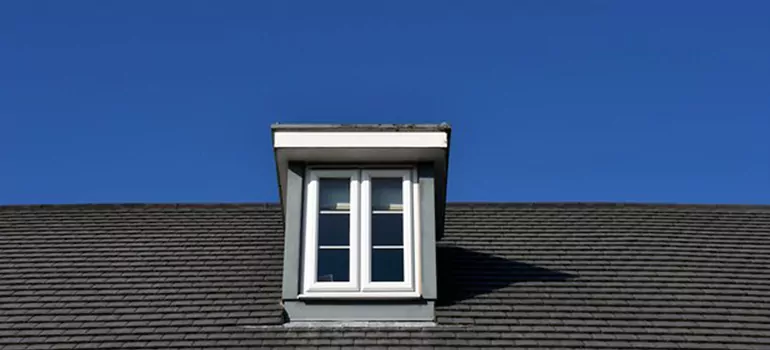 Roof Window Installation in Jasmine Estates, FL