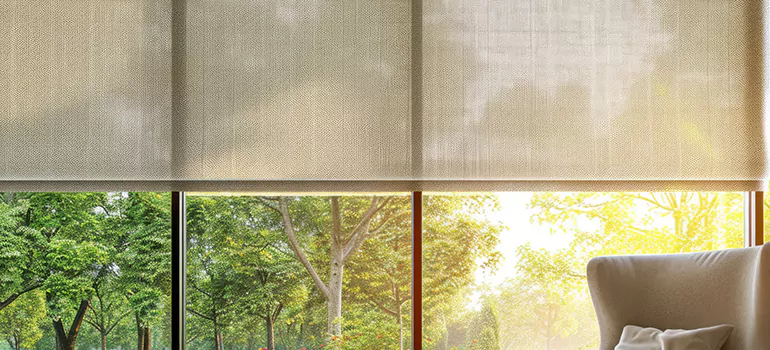 Custom Window Shades in Jasmine Estates, FL