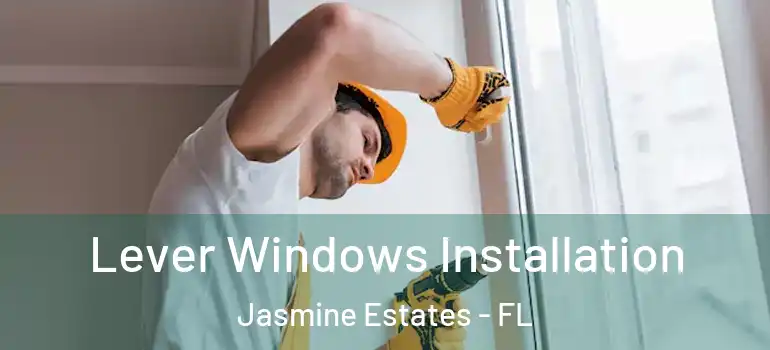  Lever Windows Installation Jasmine Estates - FL