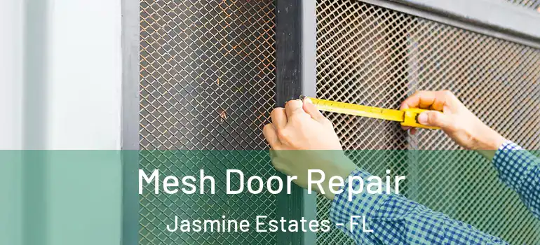  Mesh Door Repair Jasmine Estates - FL