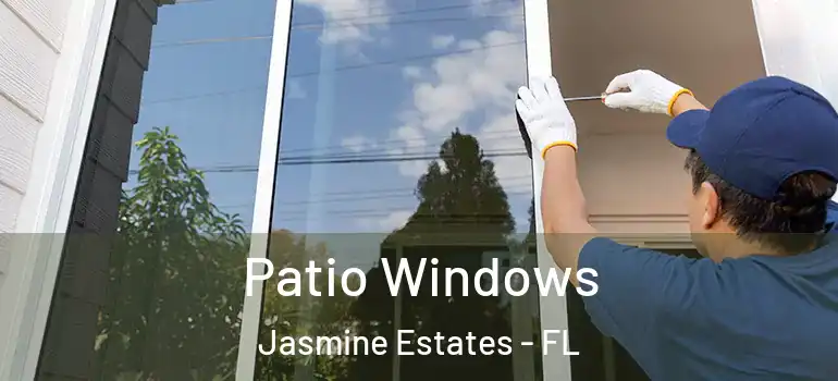  Patio Windows Jasmine Estates - FL