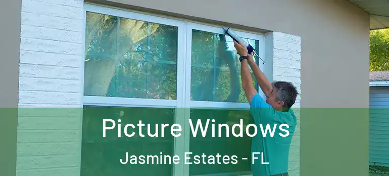  Picture Windows Jasmine Estates - FL