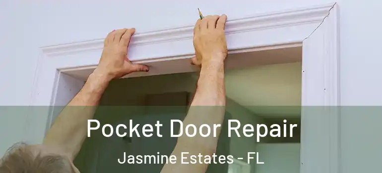  Pocket Door Repair Jasmine Estates - FL