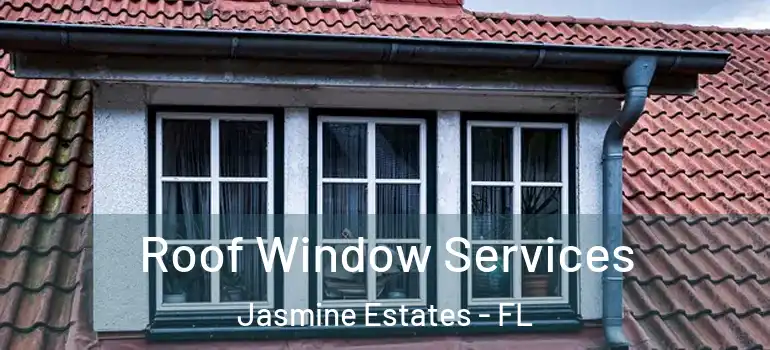  Roof Window Services Jasmine Estates - FL
