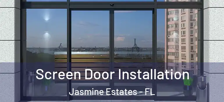  Screen Door Installation Jasmine Estates - FL