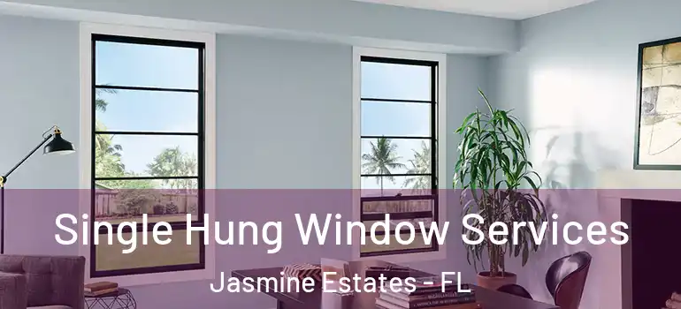  Single Hung Window Services Jasmine Estates - FL