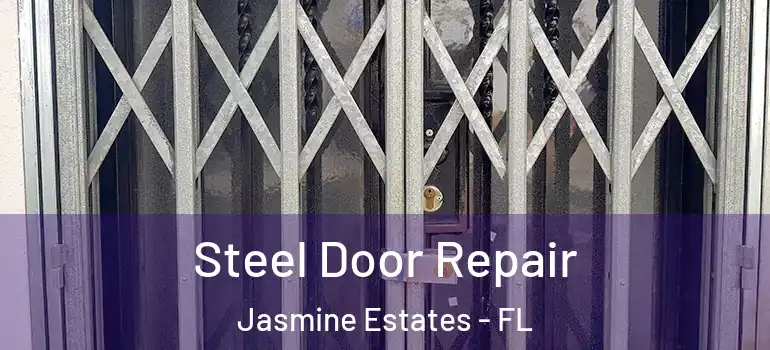  Steel Door Repair Jasmine Estates - FL