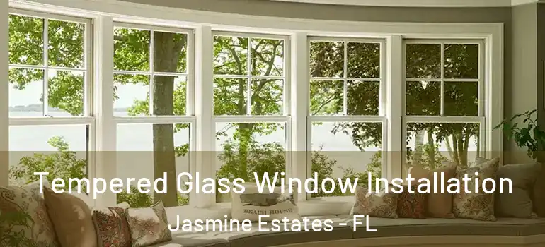  Tempered Glass Window Installation Jasmine Estates - FL