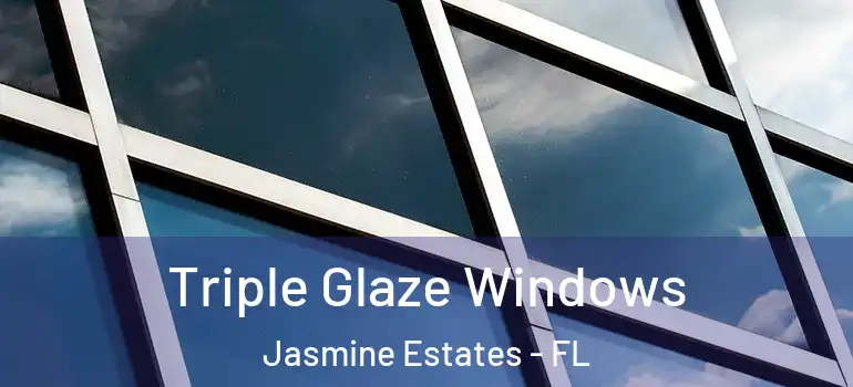  Triple Glaze Windows Jasmine Estates - FL
