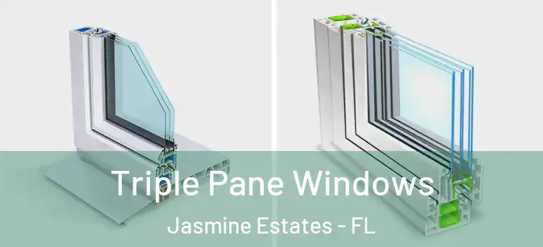  Triple Pane Windows Jasmine Estates - FL