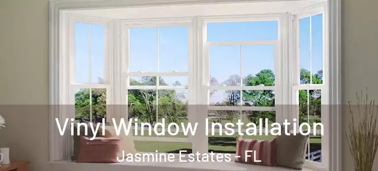  Vinyl Window Installation Jasmine Estates - FL