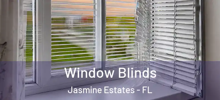  Window Blinds Jasmine Estates - FL