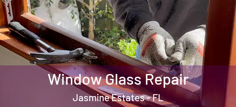  Window Glass Repair Jasmine Estates - FL