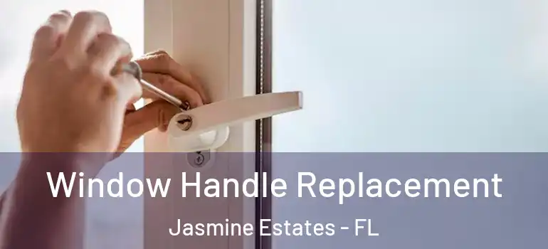  Window Handle Replacement Jasmine Estates - FL