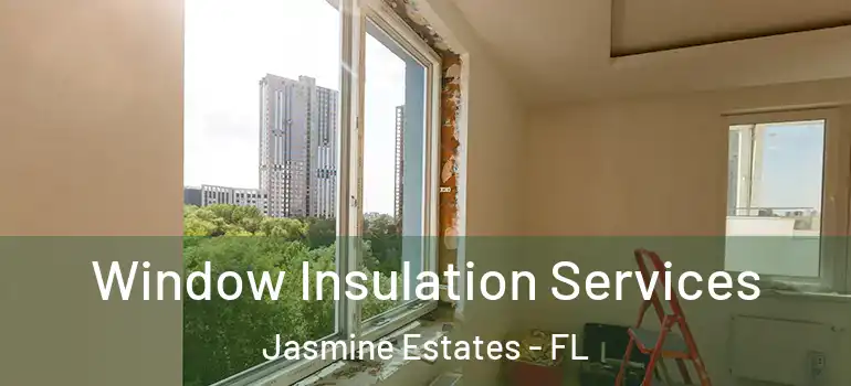  Window Insulation Services Jasmine Estates - FL