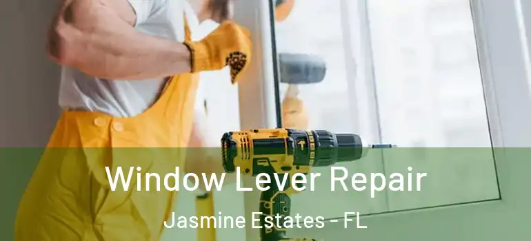  Window Lever Repair Jasmine Estates - FL