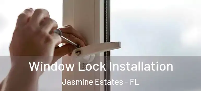  Window Lock Installation Jasmine Estates - FL