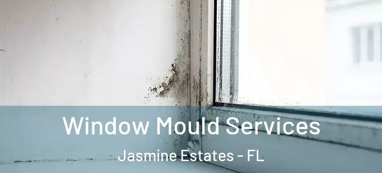  Window Mould Services Jasmine Estates - FL