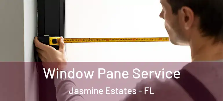  Window Pane Service Jasmine Estates - FL