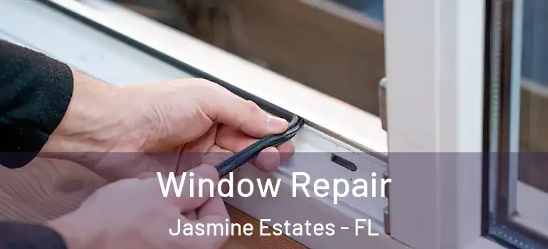  Window Repair Jasmine Estates - FL