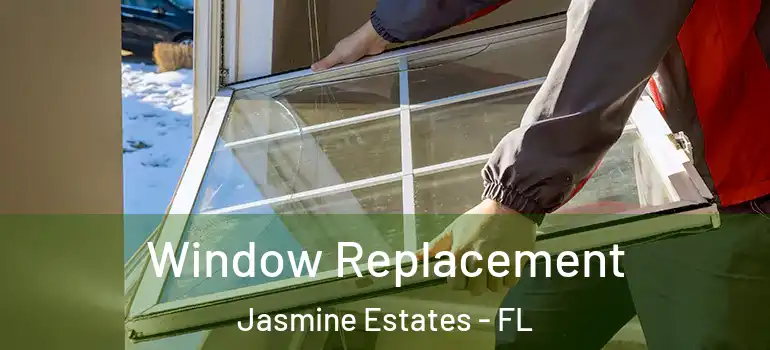  Window Replacement Jasmine Estates - FL