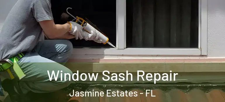  Window Sash Repair Jasmine Estates - FL