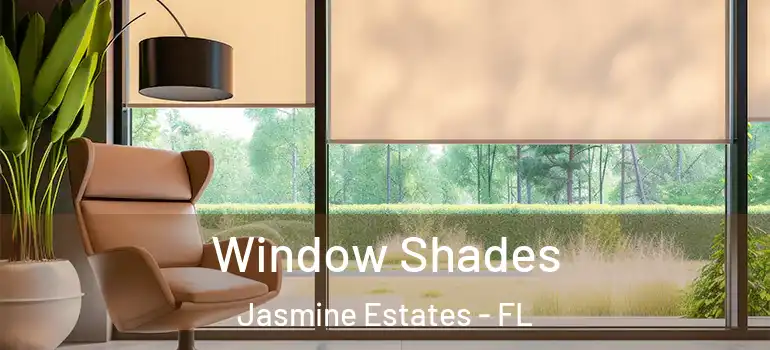  Window Shades Jasmine Estates - FL