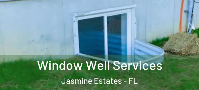  Window Well Services Jasmine Estates - FL